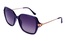Polarglare PG 5616B VIOLET 54-17