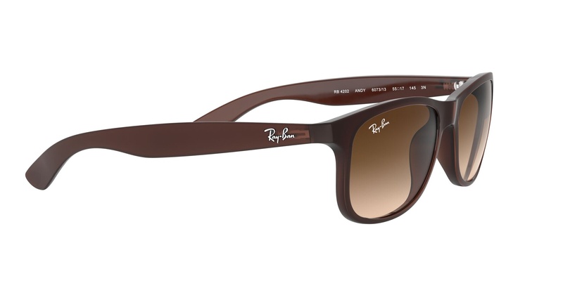 Rayban RB 4202 6073/13 55-17