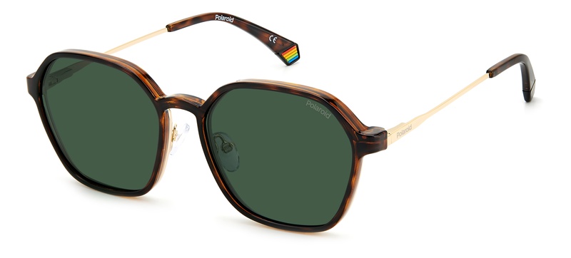 Polaroid  PLD 6183/C/S 06J99 56-17