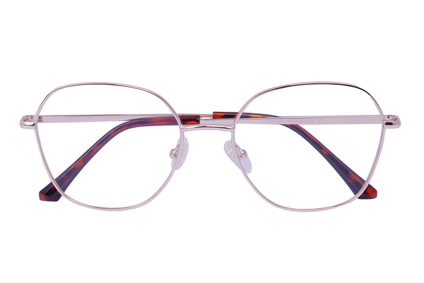 Alice 884211 C1 54-18