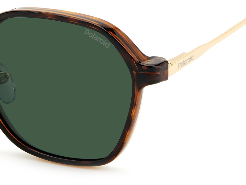 Polaroid  PLD 6183/C/S 06J99 56-17